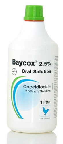 Baycox con Toltrazuril