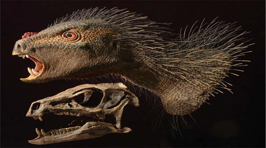 Dinosaurio peludo de china